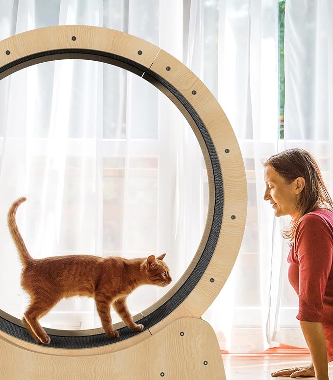 39.4" Wooden Cat Running Wheel - Low Noise Exercise Wheel for Large Indoor Cats