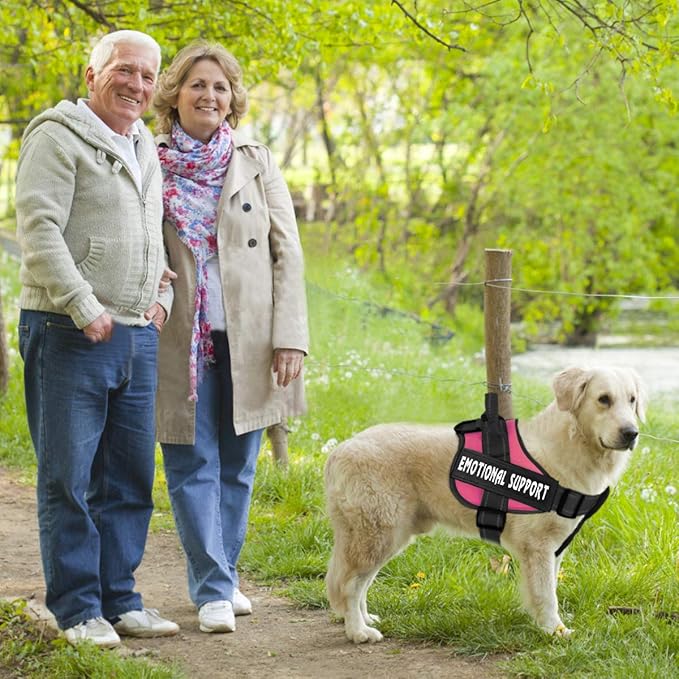 voopet Service Dog Harness,Emotional Support Pet Vest Harness,Reflective Breathable and Adjustable No-Pull ESA Dog Harness for Small Medium Large Dogs (with 4 PCS Removeable Tags) XX-Large (Pack of 1)