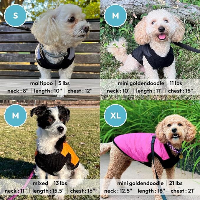Gooby Fashion Vest Dog Jacket - Green, Small - Warm Zip Up Bomber Vest with Dual D Ring Leash - Winter Water Resistant Small Dog Sweater