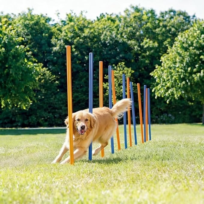 PAWISE Dog Agility Training Equipment,12 Weave Poles for Dogs with Stakes & Carry Bag,Dog Agility Training Set for Outdoor Obstacle Course,Backyard Exercise & Training Equipment for Shepherd Malinois