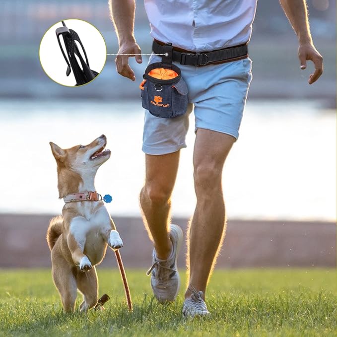 AMZNOVA Dog Treat Bag Treatnow Dog Treat Pouch, Training Pouch with Waist Belt & Clicker for Training & Walking, Waist Clip On Snack Fanny Pack for Pet, 3Cups, Heather Blue