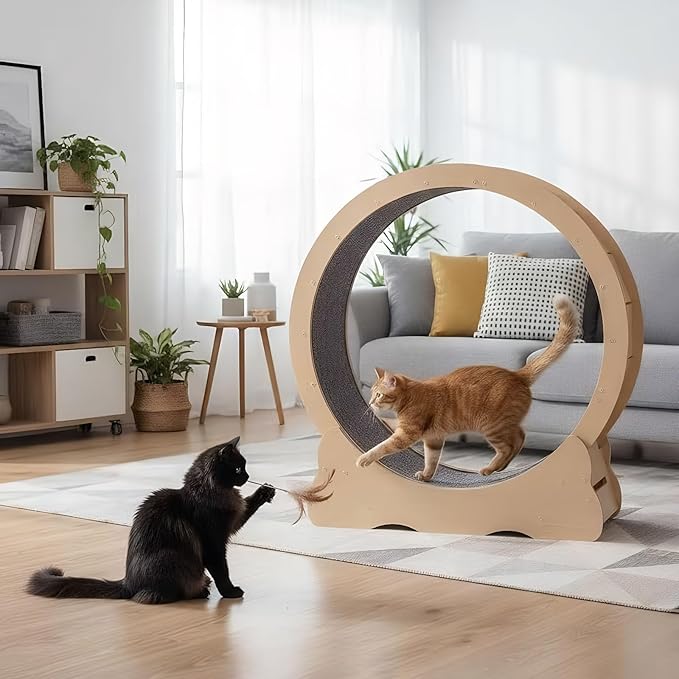 Cat Exercise Wheel for Indoor Cats, 36" Cat Treadmill Wheel with Detachable Carpeted Runway, Natural Solid Wood Sturdy Running Wheel for Running/Training/Walking, Suitable for Most Cats