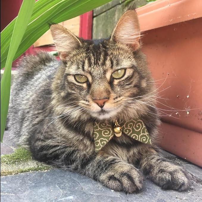 Bunny Ears Cat Collar, Japan Lucky ‘開三運’ Charm. Safety Breakaway Bowtie Kitten Collar with Bell, Green