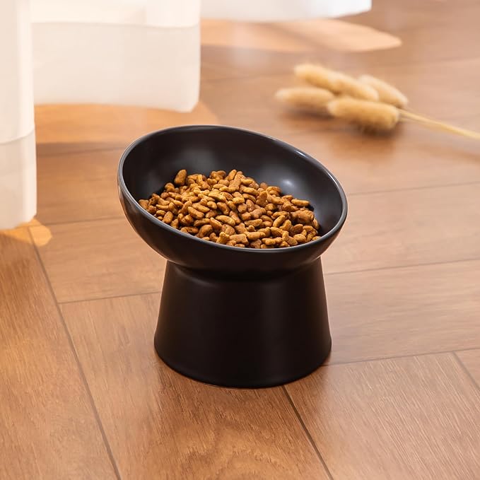 Ceramic Raised Cat Bowls - Elevated Tilted Cat Food and Water Bowls Set, Anti Vomiting and Protect Pets' Spines Pet Feeding Dish for Cats, Dishwasher Microwave Safe (2 x Bowl - Black)