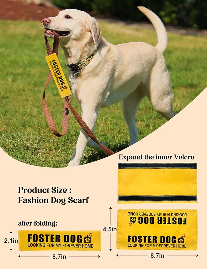 Foster Dog Leash Sleeve - Funny Yellow Alert Wrap with Hanging ID Patch | Looking for My Forever Home Pet Leash Accessory, Gift for Dog Owners