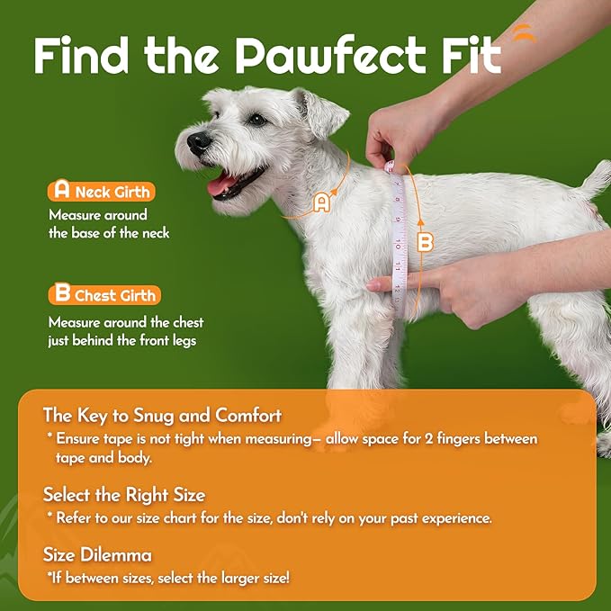 Eagloo Small Dog Harness and Leash Set, Step in Puppy Vest with Breathable Soft Mesh, Walking Reflective Pet Harness for Small Dogs, Green, XS