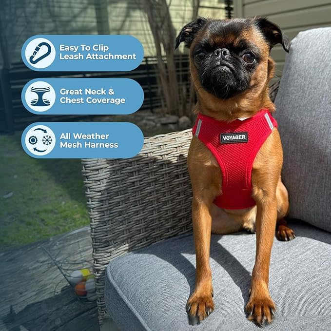 Best Pet Supplies Voyager Step-in Air All Weather Mesh Harness and Reflective Dog 5ft Leash Combo with Neoprene Handle, for Small, Medium and Large Breed Puppies - Set (Red), XXX-Small