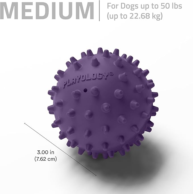 Playology Dog Toys | Squeaky Spiky Chew Ball for Medium Dogs | Bacon Scented Dog Ball for Tough Chewers