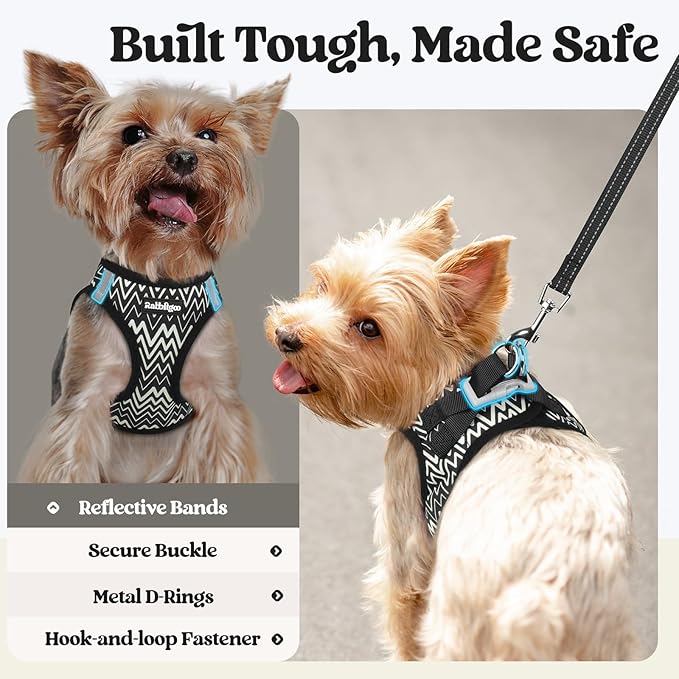 rabbitgoo Dog Harness Small Sized and Leash Set, Step in Soft Light Puppy Vest, Breathable Mesh Pet Harness, Reflective for Safe Easy Walking, Blach Zigzag S