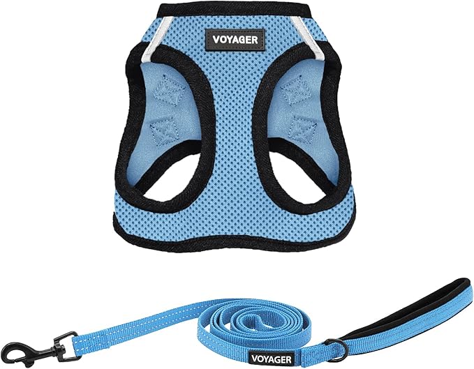 Best Pet Supplies Voyager Step-in Air All Weather Mesh Harness and Reflective Dog 5ft Leash Combo with Neoprene Handle, for Small, Medium and Large Breed Puppies - Set (Baby Blue/Black Trim), XX-Small