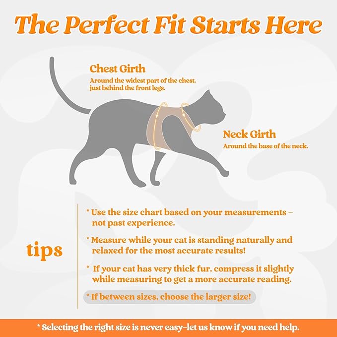 rabbitgoo Cat Harness and Leash, Step-in Escape Proof Kitten Harness Set, Soft Comfortable Cat Vest, Easy to Wear and Adjust, Reflective for Safe Outdoor Walking, Light Orange, Medium