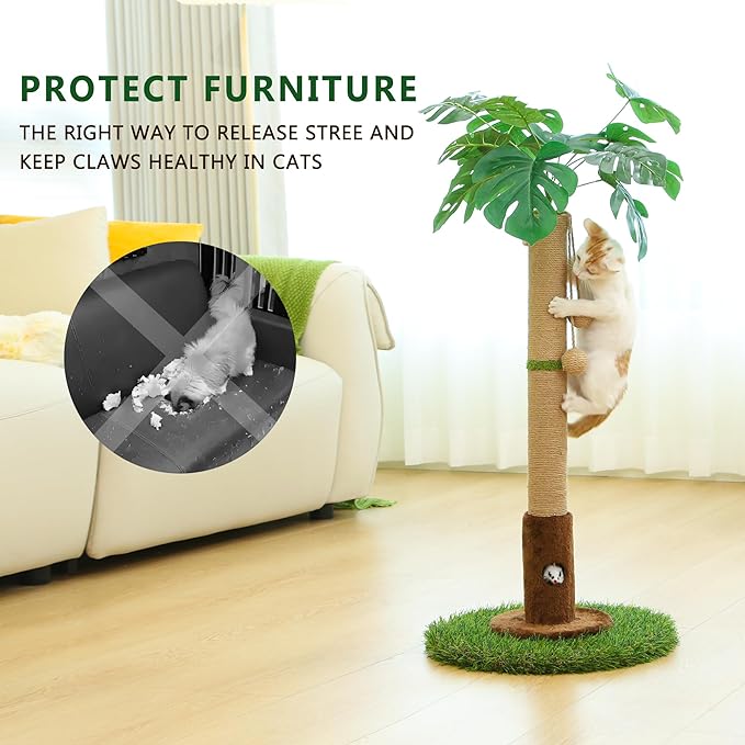 Woochpet Cat Scratching Post for Indoor Cats and Kitten - 35.43" Tall Cat Scratching Post with Sisal Rope,Palm Tree Cat Scratch Post with Hanging Ball