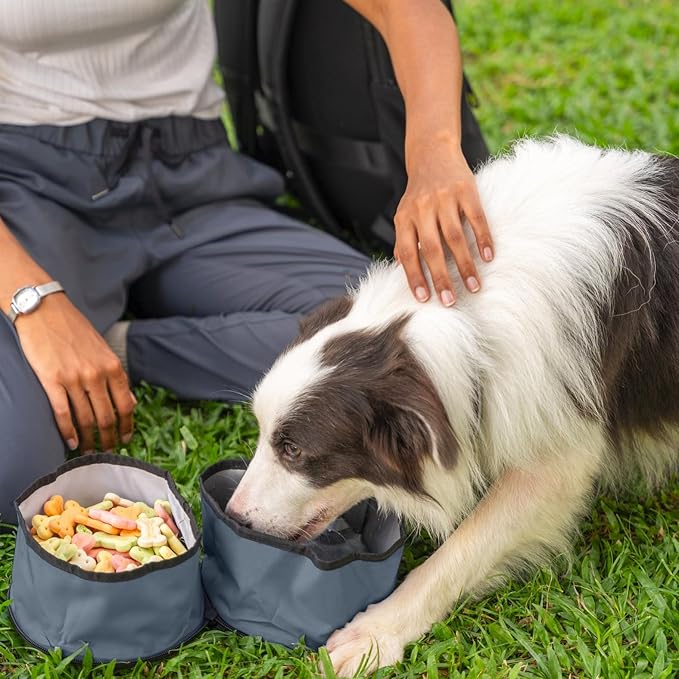 OllyDog Superbowl | Collapsible Dog Travel Bowl | 2-Compartment Food & Water | Foldable Portable Dog Dish | Hiking Camping Backpacking | Small Medium Large Dogs (Castle Rock)