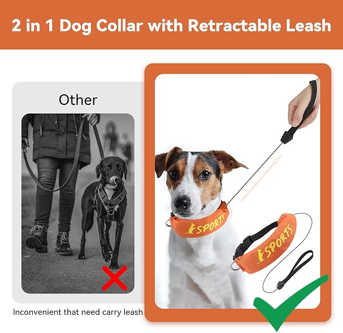 NAMSAN Retractable Dog Leash Collar for Small to Medium Dogs, Dog Collar with Retractable Leash Built-in, All-in-One, Adjustable, Orange