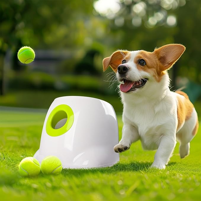AFP Automatic Ball Launcher for Dogs, USB Rechargeable Interactive Dog Ball Thrower Machine, Auto Fetch Launcher for Small&Medium Dogs, Indoor Outdoor Puppy Play Toy, 3 Tennis Balls Included (2 Inch)