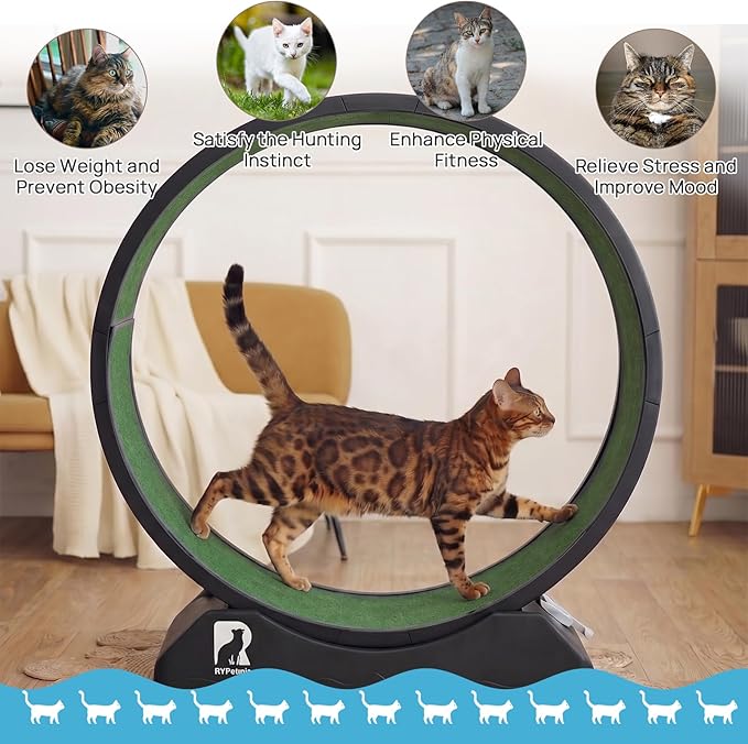 Cat Exercise Wheel, 39.4 Inch Indoor Treadmill for Cats with Carpeted Runway, Screw-Fixed Assembly for Easy Setup, Silent & Safe Fitness Equipment for Most Cats
