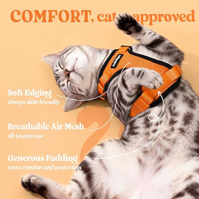 rabbitgoo Cat Harness and Leash Set, Escape Proof Vest Harness for Safe Outdoor Walks, Soft Breathable Adjustable Vest with Reflective Strips for Average to Large Cats, Orange, M