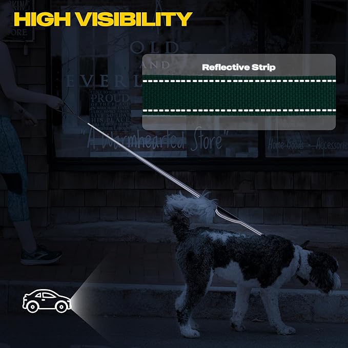Fida 10ft Heavy Duty Dog Leash with 2 Comfortable Padded Handles, Traffic Handle & Advanced Easy Snap Hook, Reflective Walking Lead for Large, Medium & Small Breed Dogs, Teal
