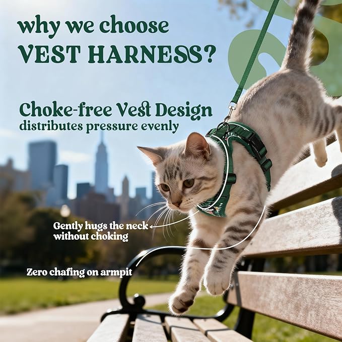 rabbitgoo Cat Harness and Leash Set, Escape Proof Vest Harness for Safe Outdoor Walks, Soft Breathable Adjustable Vest with Reflective Strips for Small and Average Cats, Rainforest Green, S