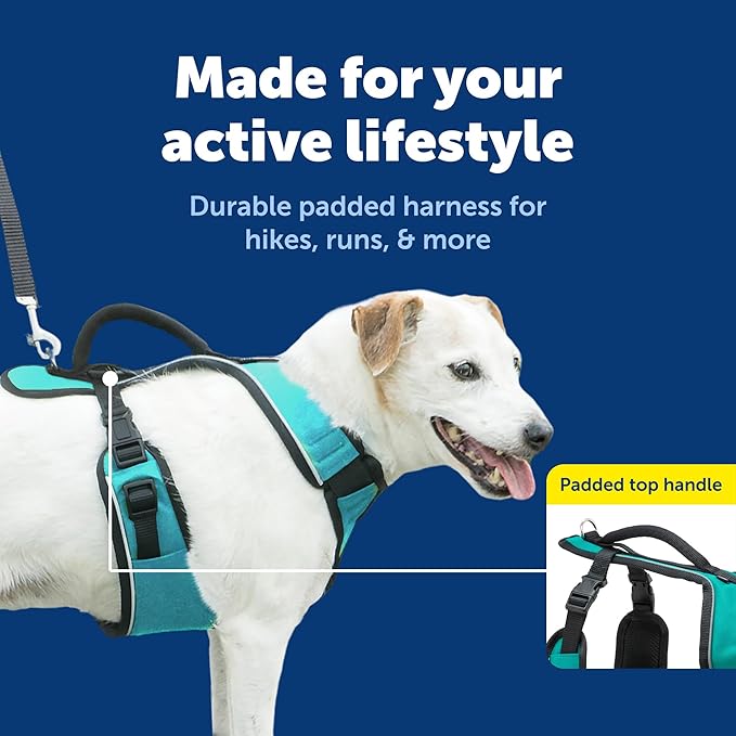 PetSafe EasySport Harness Padded Straps Fully Adjustable Elastic Neckline Best for Athletic Dogs Top Handle for Quick Control - Small - Teal