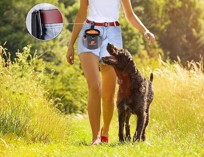 AMZNOVA Dog Treat Bag Treatnow Dog Treat Pouch, Training Pouch with Waist Belt & Clicker for Training & Walking, Waist Clip On Snack Fanny Pack for Pet, 3Cups, Heather Black
