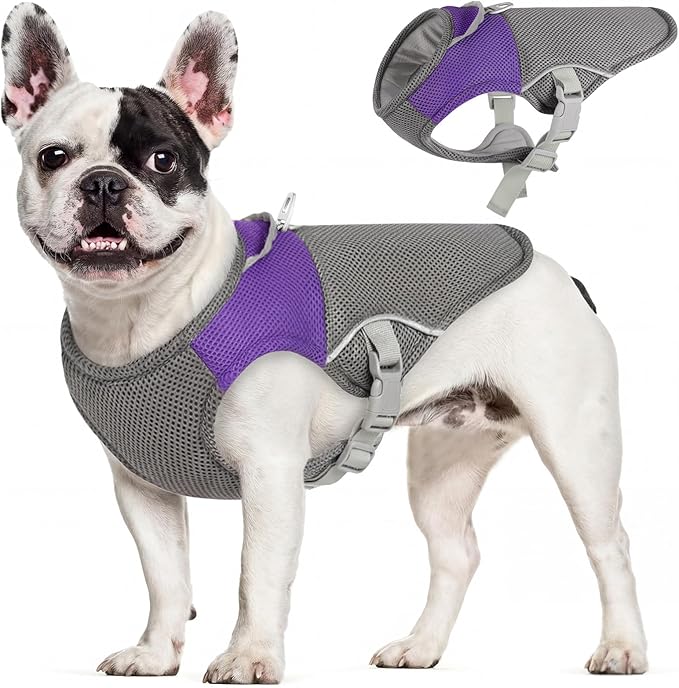 AOFITEE Dog Cooling Vest Small Dog, Lightweight Cooling Jacket for Dogs, Breathable Dogs Cooler Shirt with Harness D-Ring, Pet Sun Shirt UV Protection Ice Vest for Small Medium and Large Pet, Purple S