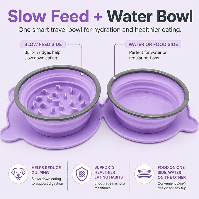 Collapsible Dog Bowls, 2-in-1 Silicone Pet Food and Water Bowl with Carabiner - Portable Double Compartment Travel Dish for Dogs, Ideal for Camping, Hiking, Car Rides, Puppy Essentials (Purple)