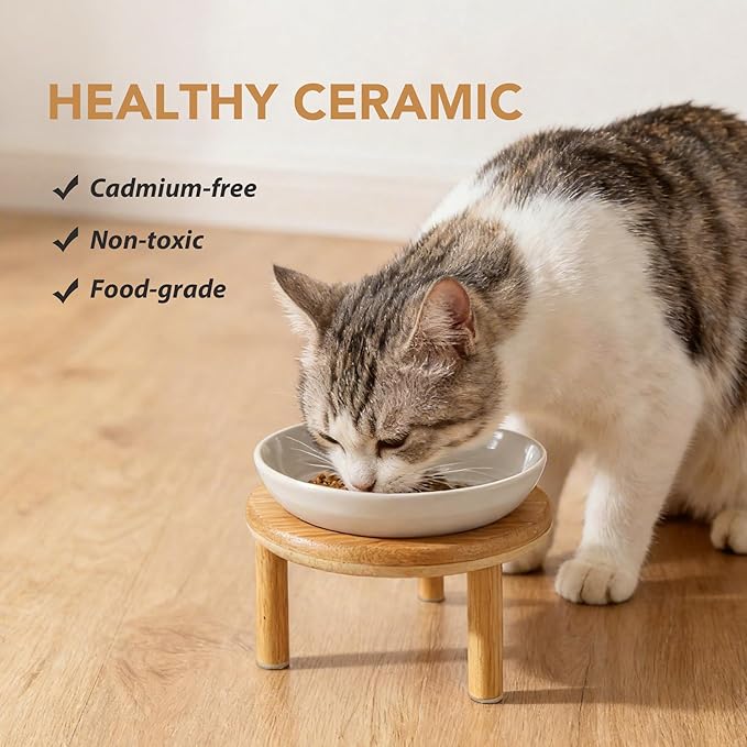 Havniva Elevated Cat Bowls Raised Ceramic Cat Bowl, 5.9” Wide Opening Cat Food Bowl Whisker Friendly Cat Dish Anti-Slip with Bamboo Stand, Shallow Pet Food & Water Bowl for Indoor Cats
