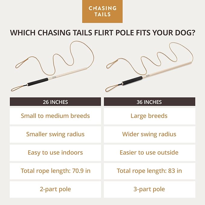 Chasing Tails Flirt Pole for Small Dogs - 26 Inch with 70 Inch Rope and Two Toys -Interactive Play Equipment for Small and Medium Breeds - Durable and Fun Exercise Tool for Active Pets