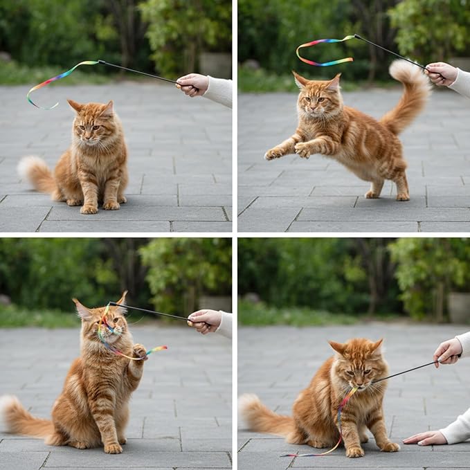 salbsever 5 PCS Cat Ribbon Toy, String Cat Toy, Interactive Colorful Teaser Wandstring with Rainbow Ribbon for Indoor Cats Exercise and Playtime