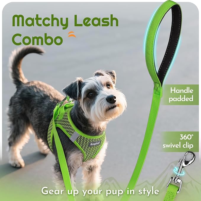 Eagloo Small Dog Harness and Leash Set, Step in Puppy Vest with Breathable Soft Mesh, Walking Reflective Pet Harness for Extra Small Dogs, Green, XXS