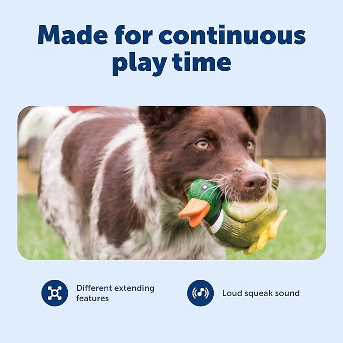 PetSafe Animal Squeak Toys, Duck - Soft Latex Woodland Creatures