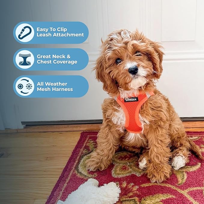 Best Pet Supplies Voyager Step-in Air All Weather Mesh Harness and Reflective Dog 5ft Leash Combo with Neoprene Handle, for Small, Medium and Large Breed Puppies - Set (Orange), X-Large