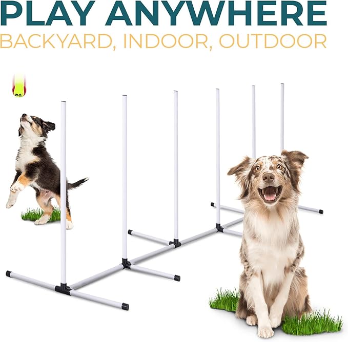 Dog Agility Training Equipment - 4 Piece Obstacle Course Includes Dog Jump, Tire Jump, Pause Box and Weave Poles with Carrying Case, Indoor or Outdoor Use