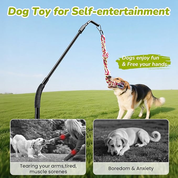 360° Rotation Tether Outdoor Dog Rope Toy, Exercise Tug Of War Dog Toy in Yard/Park/Lawn, Dog Training 3 Rope Toys, 2 Strengthen Spring Poles, Self Play and Interactive Toy for Large Medium Small Dog
