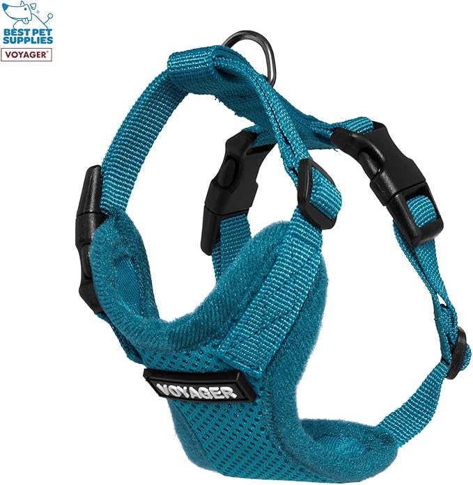 Best Pet Supplies Voyager Step-in Lock Pet Harness w Reflective Pet Leash Combo Set with Neoprene Handle 5ft - Supports Small, Medium and Large Breed Puppies/Cats - Turquoise Set, XXS