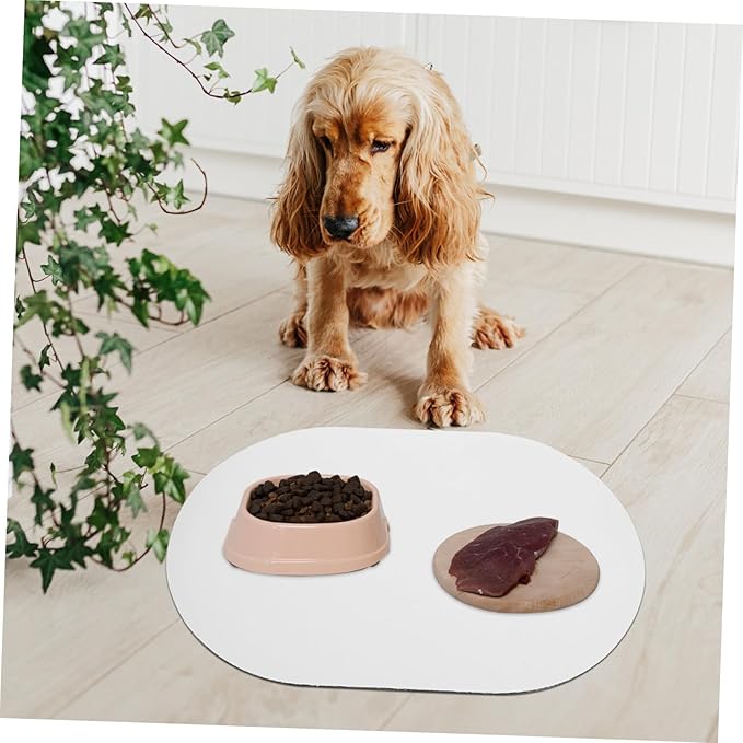 Insulated Dog Mat for Feeding with Diatomite Material, Quick Dry and Non-Slip Pet Feeding Mat for Food and Water Bowls, Floor Protecting Placemat for Dogs