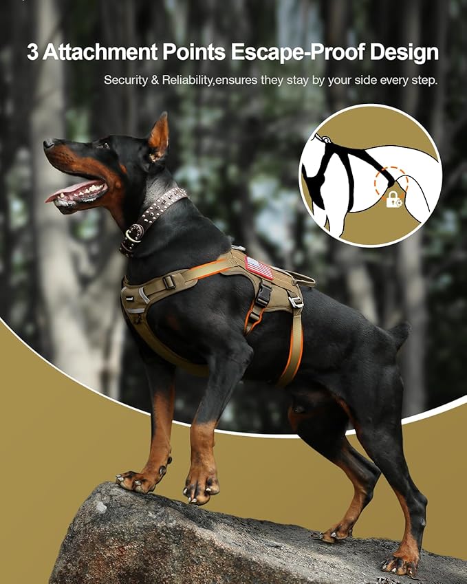 FAYOGOO Tactical Dog Harness for Large Dogs - Heavy Duty Dog Harness Escape Proof with Handle - No Pull Military Service Dog Vest with Removable Patches for Walking,Training,Hiking