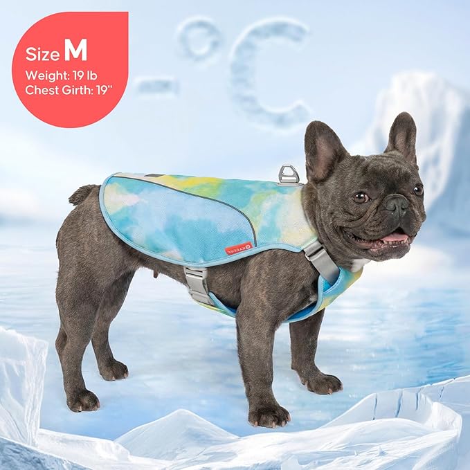 KYEESE Dog Cooling Vest, Breathable Mesh Dog Cooling Shirt for Small Dogs with D-Ring, Sun Protection Reflective Dogs Cooler Jacket with Adjustable Buckle for Summer Hiking Walking, Blue, S