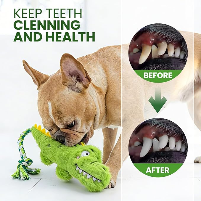 Squeaky Plush Crocodile Dog Toy with a Rope Tail,Crinkle Stuffed Dog Toy Keep Them Busy Tug of War Training Play, Dog Chew Toys for Small Dogs (Green)