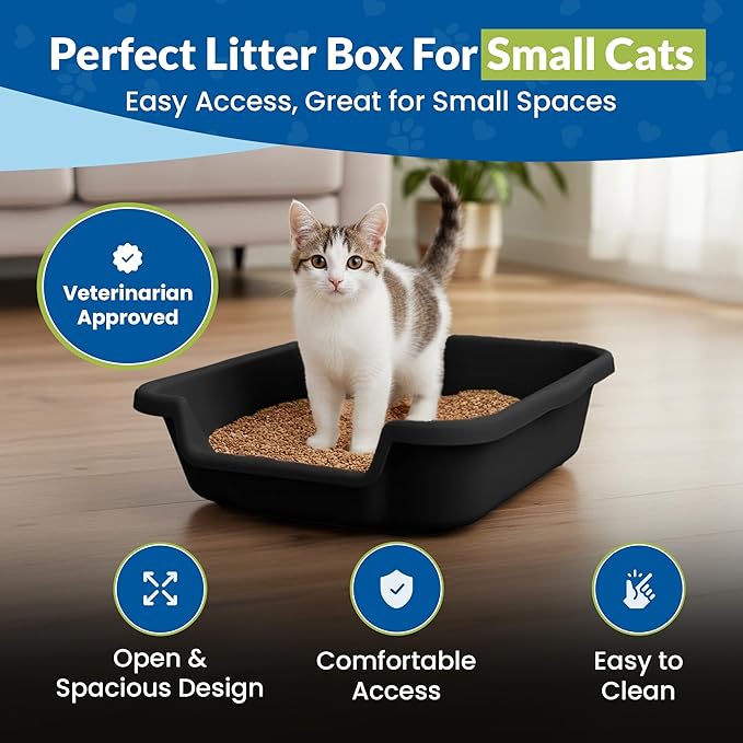 KittyGoHere Senior Cat Litter Box, Small Litter pan with Long-Handle Jumbo Scoop, Open Top Low Entrance Kitty Litters Box, Lightweight Low Entry Litter Box, Durable, Made in USA (2 Pack - Black)