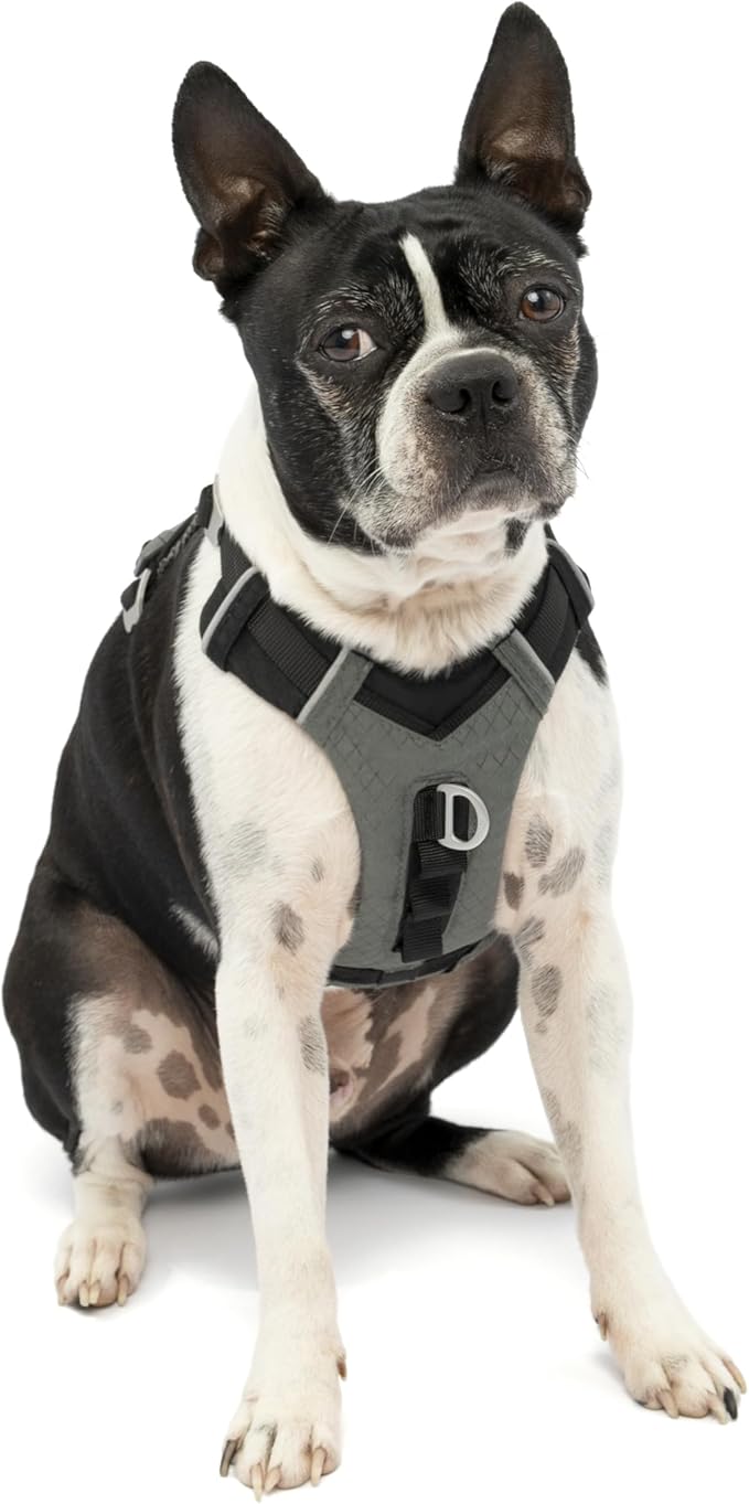 Kurgo Journey Air Dog Harness - Secure Fit for Active Dogs - Padded Chest - Lightweight Ripstop Fabric - Breathable Mesh - Reflective Trim - Back Assist Handle - Black- Small