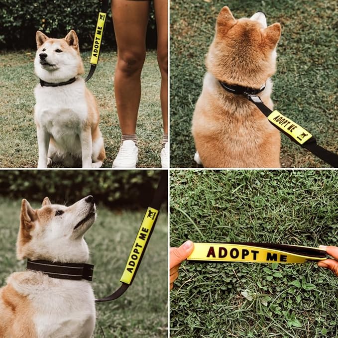 Tuff Pupper Waterproof Leash Sleeve | Fits Any Standard Size 1 Inch Wide Leash | Dual Sided Message | Durable Neoprene & Silicone | Odor & Stink Proof | Easy Secure On & Off (2 Pack, Adopt Me)