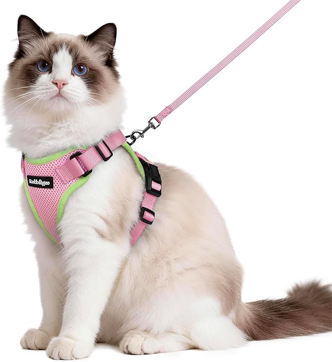 rabbitgoo Cat Harness and Leash Set, Escape Proof Vest Harness for Safe Outdoor Walks, Soft Breathable Adjustable Vest with Reflective Strips for Average to Large Cats, Pink & Light Green, M