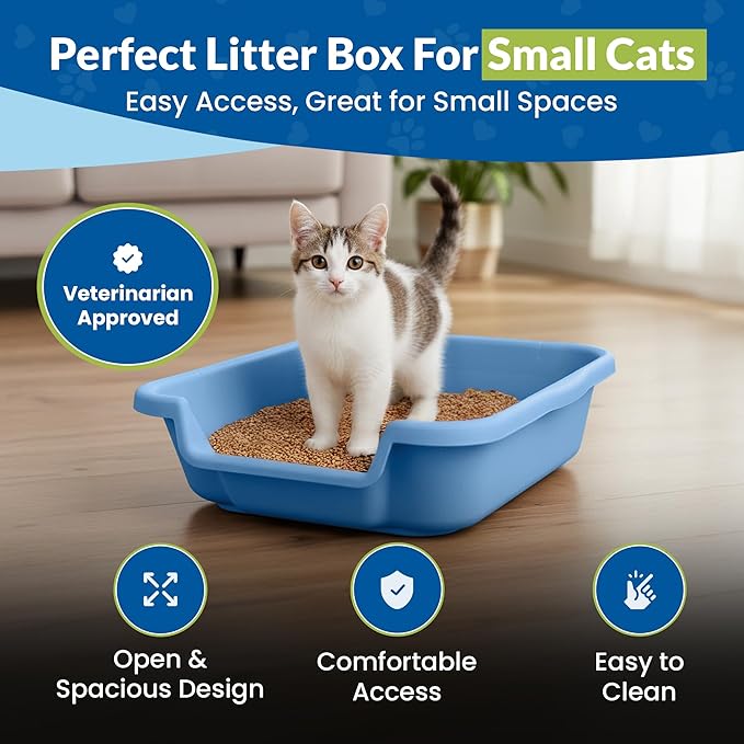 KittyGoHere Senior Cat Litter Box, Small Litter pan with Long-Handle Jumbo Scoop, Open Top Low Entrance Kitty Litters Box, Lightweight Low Entry Litter Box, Durable, Made in USA (2 Pack - Blue)
