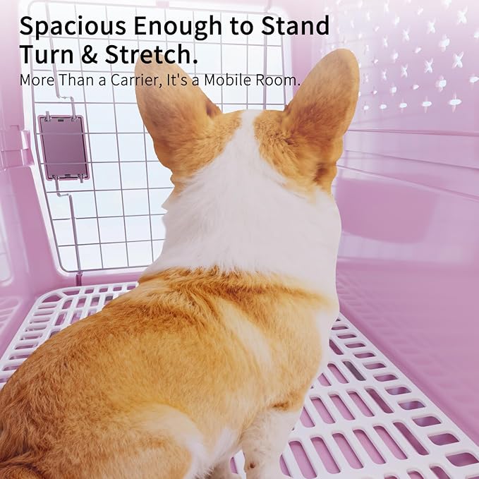 RIZZARI Pets Spree Hard-Sided Pink Pet Carrier, Portable Crate for Medium Dogs & Cats, Durable Plastic with Metal Door & Ventilation, Ideal for Weekend Outings & Air Travel