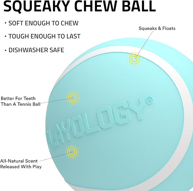 Playology Dog Toys | Squeaky Chew Ball for Dogs, Value 2-Pack | Peanut Butter Scented Medium Dog Balls | Bouncy Floating Chew Toys for Fetch