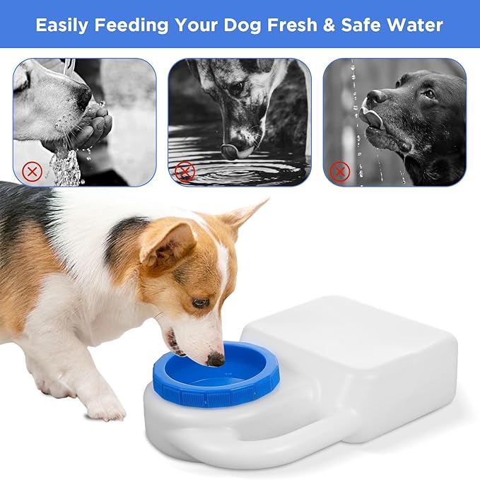 2 Pcs 3 Quart Portable No Spill Dog Travel Water Bowl Leakproof Pet Water Dispenser for Small Large Dogs Cats, Camping Hiking Car RV Boat