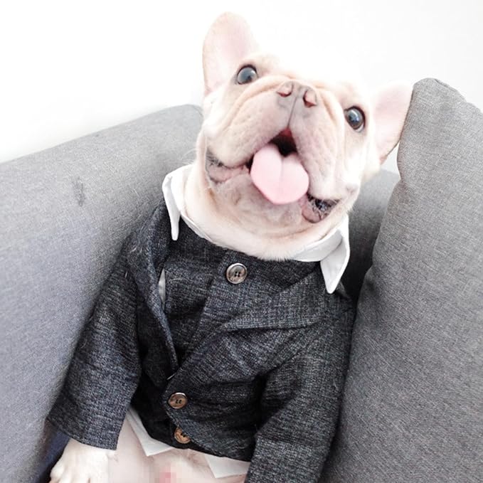 Dog Clothes Pet Plaid Suit Dog Tuxedo Costumes, Formal Gentleman Apparel Vest, Wedding Party Birthday Wear French Bulldog Pug Teddy Terrier Pup(Black Coat, XL)