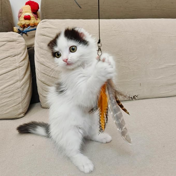 7 PCS Cat Wand Toy Refills - 6 Pack Natural Feather Attachments & 1 Replacement Elastic String with Lobster Clasp, Interactive Teaser Toy Refills for Indoor Cats and Kittens(6 Feather Refills)